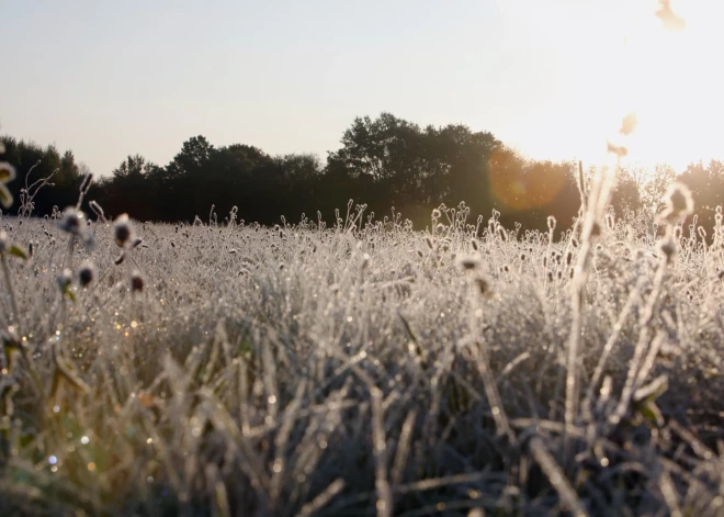 Dažviet Vidzemē gaisa temperatūra pazeminājusies līdz +2 grādiem un novērota salna