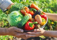 Kādā veidā uzglabāti dārzeņi mazāk zaudē vitamīnus?