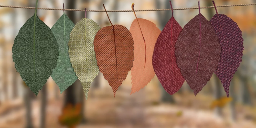 Иллюстративное фото