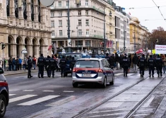 Жители Вены выступили против действий властей и потребовали решать проблемы с кризисом