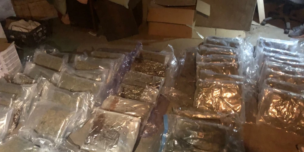 Марихуана обнаружена в подвале одного из частных домов в Яунмарупе (Фото: Госполиция)