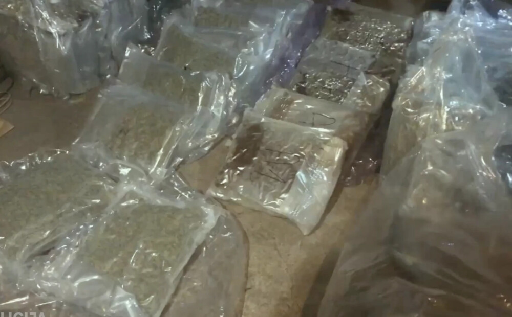 VIDEO: pagrabā Jaunmārupē policija atrod 51 kilogramu marihuānu pusmiljona eiro vērtībā
