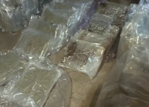 VIDEO: pagrabā Jaunmārupē policija atrod 51 kilogramu marihuānas pusmiljona eiro vērtībā