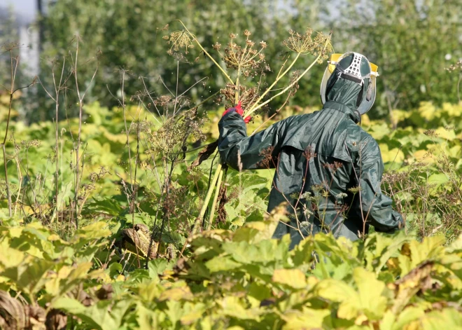 Kauja pret latvāņiem atstāta pašu rokās