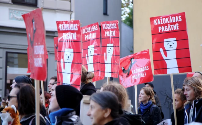 Pie Saeimas notiek biedrības "Dzīvnieku brīvība" organizēts pikets, paužot atbalstu dzīvnieku aizsardzībai un kažokzvēru audzēšanas aizliegumam Latvijā.