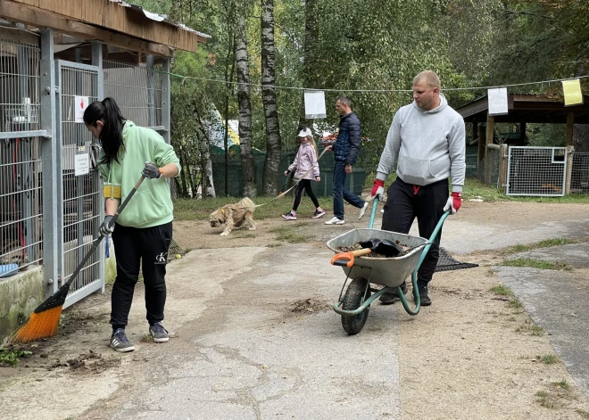 “Rudens talka Ulubelē” jau septīto gadu vieno brīvprātīgos kopīgajam darbam dzīvnieku labā