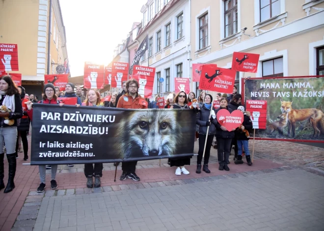 После акций протеста Сейм запретил выращивание пушных зверей ради меха с 2028 года