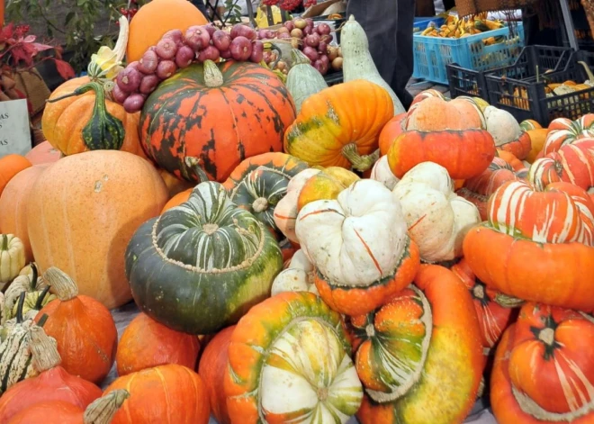 Ярмарка, концерты и творческие мастерские: 24 и 25 сентября в Риге отметят День Микелиса