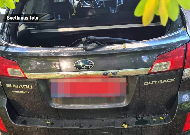 В Пурвциемсе вор разбил стекло машины и украл массажный стол