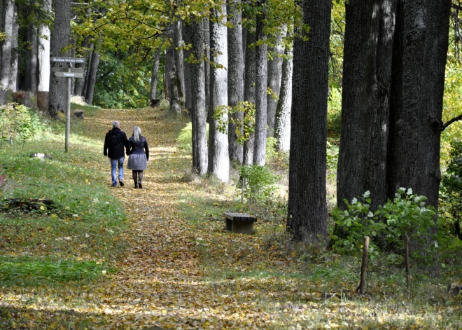 Oktobrī nokrišņu daudzums varētu būt nedaudz virs normas