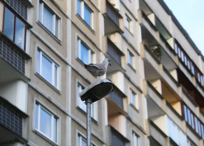 Rīdziniekiem neaprēķinās līgumsodus par kavētiem komunālajiem maksājumiem