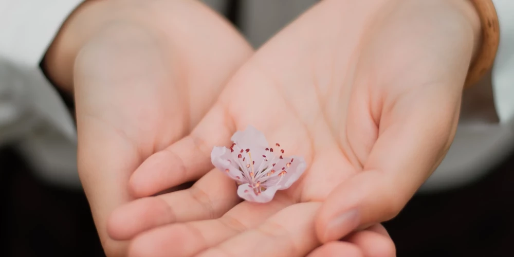 Старайтесь ежедневно избегать контакта с аллергенами и другими раздражающими факторами, если знаете, что именно провоцирует дерматит.