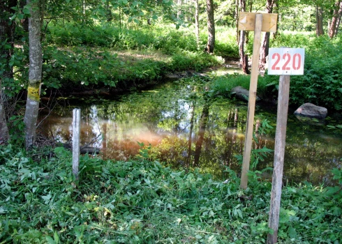 Nevericas ieteka Zilupē - vieta, kur satiekas Latvijas, Krievijas un Baltkrievijas robeža.