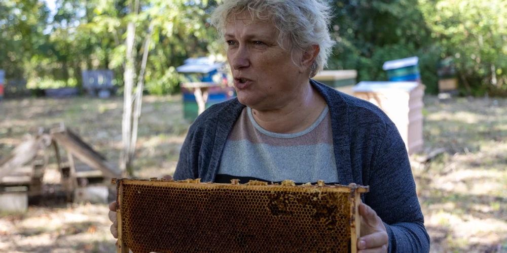Bites ne tikai dod medu, bet arī ārstē: Kurzemes pusē piekopj īpašu terapiju