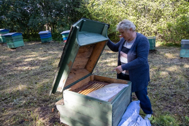 “Man vienmēr ir patikušas bites un šķitis, ka tās ir kas ļoti vērtīgs,” dravniece Baiba Tikuma uzskata, ka medus ir ļoti dāsna dabas velte.