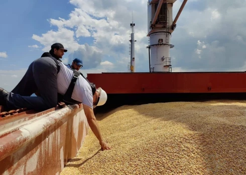 Associated Press: Россия могла похитить украинского зерна на полмиллиарда долларов