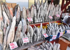 Pieci kilogrami saldētu zivju – tā vietvara Krievijā pasakās ģimenēm par mobilizētajiem