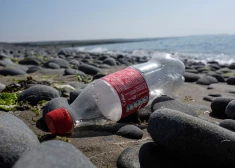 "Coca-Cola" pudele izskalota jūras krastā. 