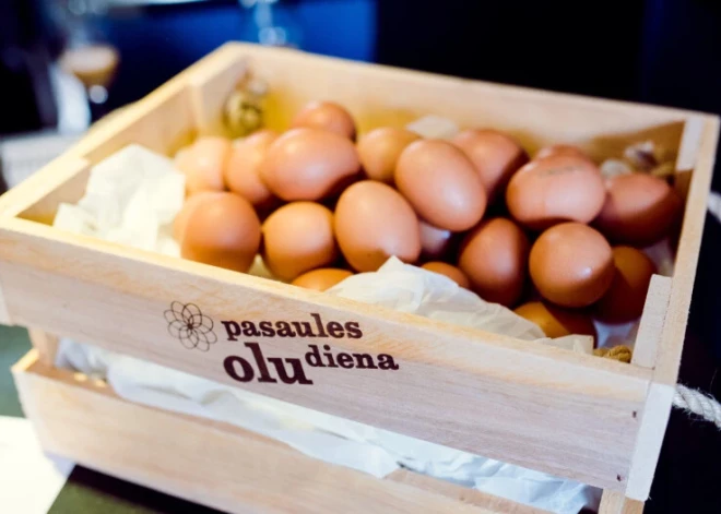 На Домской площади отметят Всемирный день яиц