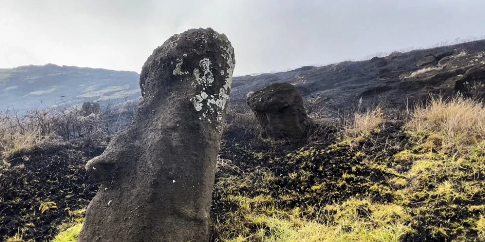 Ugunsgrēkā smagi pabojātas mītiem apvītās statujas Lieldienu salā