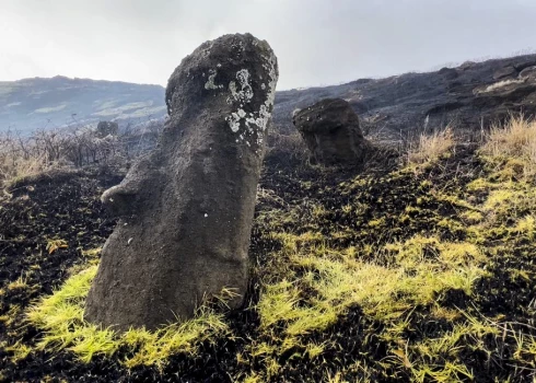 Ugunsgrēkā smagi pabojātas mītiem apvītās statujas Lieldienu salā