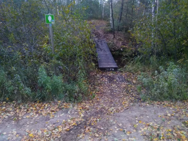 Enduro ātruma cienītāji papostījuši Melnā ezera purva dabas liegumu Olaines pagastā, ar močiem traucoties pa gājējiem paredzētām koka laipām.