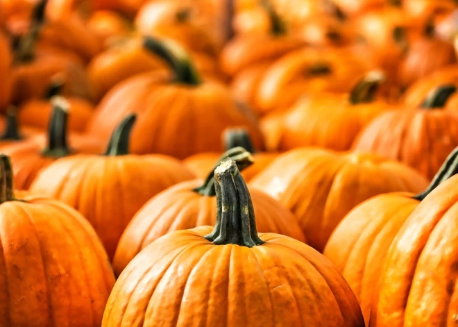 Divas ķirbju receptes, kas neliks vilties pat tiem, kam ķirbji negaršo