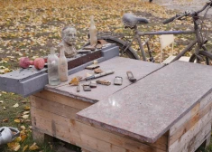 Находки на дне пруда
