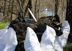 В эти выходные жители четырех микрорайонов Риги могут сдать опасные отходы