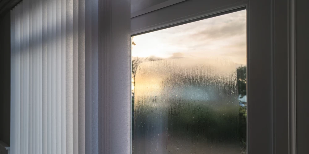 Может образоваться опасная плесень: откуда берется конденсат на окнах и ...