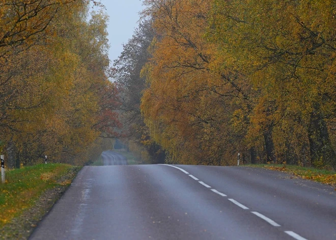 Ceturtdien Latvijas austrumos gaidāms lietus