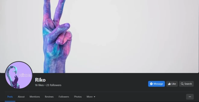 Anonīmajai "Facebook" lapai pagaidām nav īpaši daudz sekotāju, taču gājiena lapā kā ieinteresēti pieteikušies ap 84 lietotāji, 25 norādījuši, ka dosies.