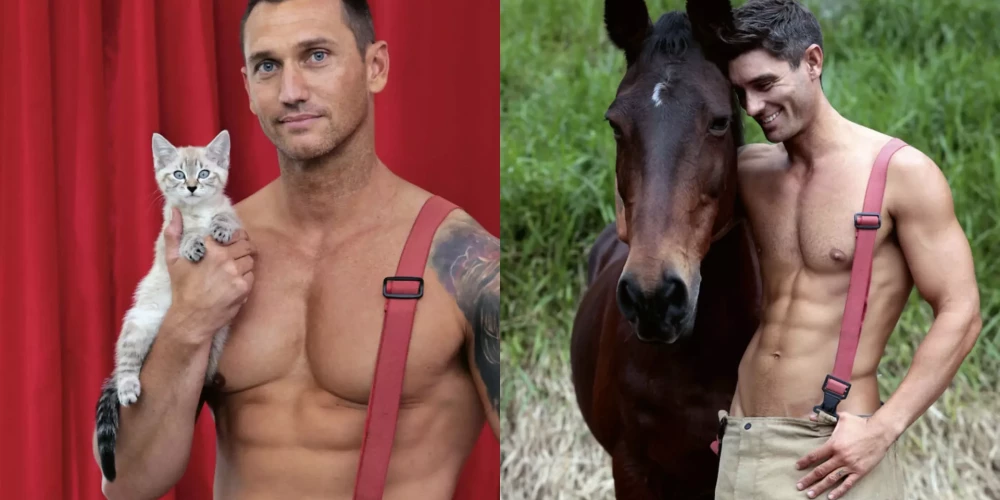 На этих фото прекрасно все!