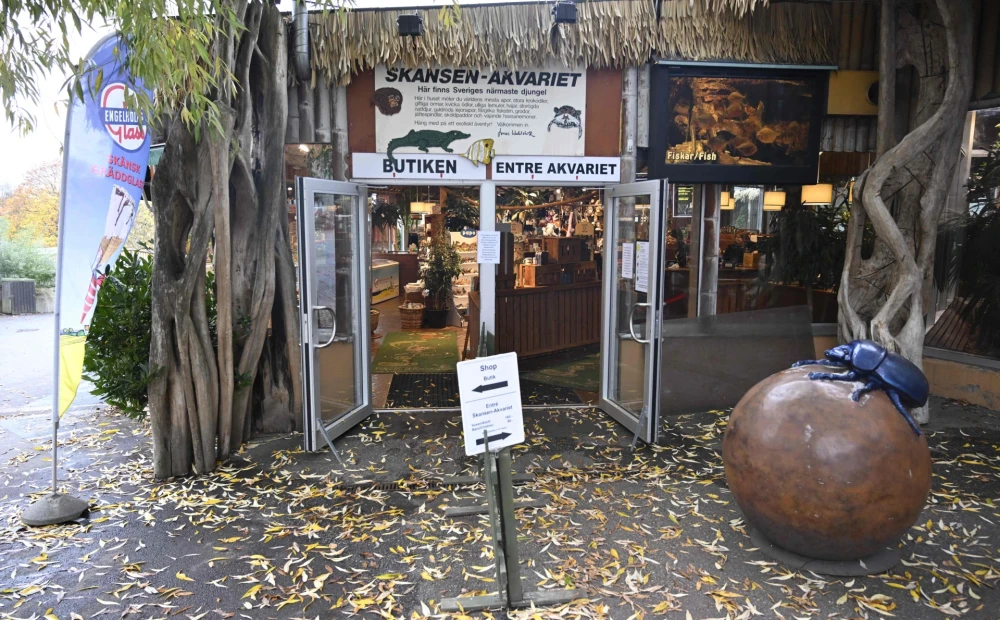 A king cobra two and a half meters long has escaped from its terrarium in the Stockholm Zoo