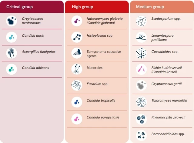 Sēnīšu saraksts, kas apdraud sabiedrības veselību.