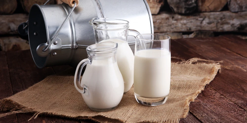 Latvieši izsenis ir bijuši lieli piena dzērāji, bet - vai mūsdienās tiešām piens kļuvis neveselīgs?