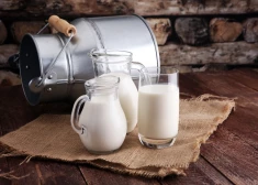 Latvieši izsenis ir bijuši lieli piena dzērāji, bet - vai mūsdienās tiešām piens kļuvis neveselīgs?