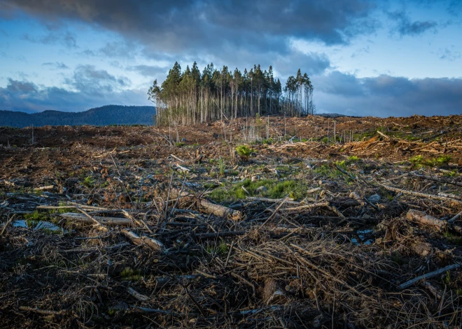 Pasaule ir tuvu neatgriezeniskam klimata sabrukumam, atklāj jaunākie pētījumi