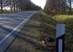 На шоссе возле Скривери микроавтобус насмерть сбил велосипедистку
