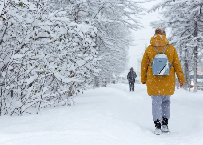 Kārtīga ziema vai pavasarīgs siltums? Ko par gaidāmo novembri un decembri saka dabas vērotājs?