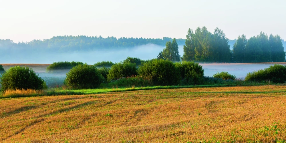 Kam pieder Latvijas zeme un meži?