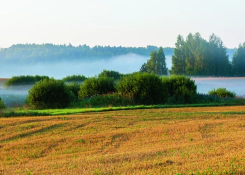 Kam pieder Latvijas zeme un meži?