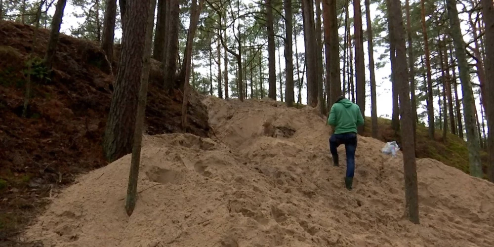 Собака залезла в барсучью нору и не смогла выбраться из нее своими силами (Фото: скриншот видео Degpunktā)
