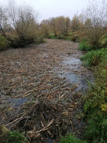 Pagājušajā nedēļā par Platones upes piesārņošanu “saķērās” divas valsts iestādes – Vides aizsardzības un reģionālās attīstības ministrijas pārraudzībā esošais vides dienests kaunināja pret Zemkopības ministrijas īpašumu apsaimniekotāju.