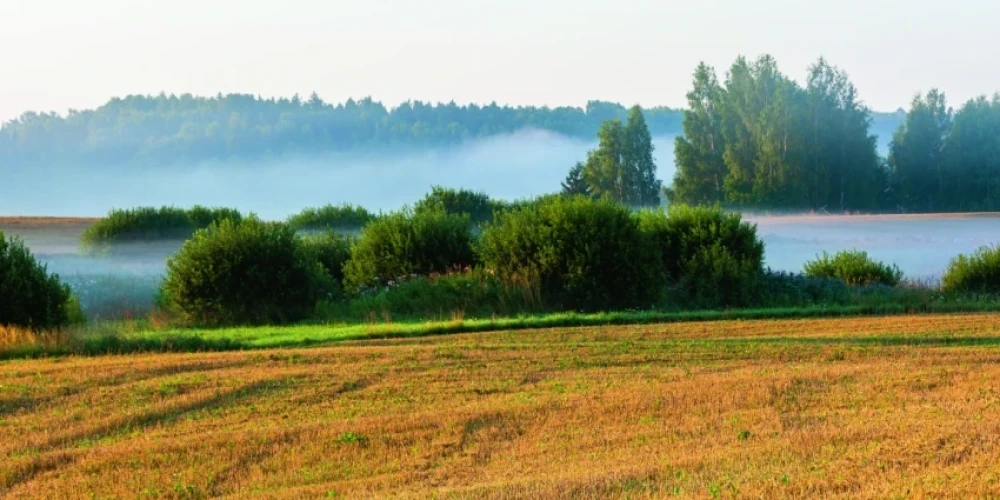 Кому принадлежат латвийские земли и леса?