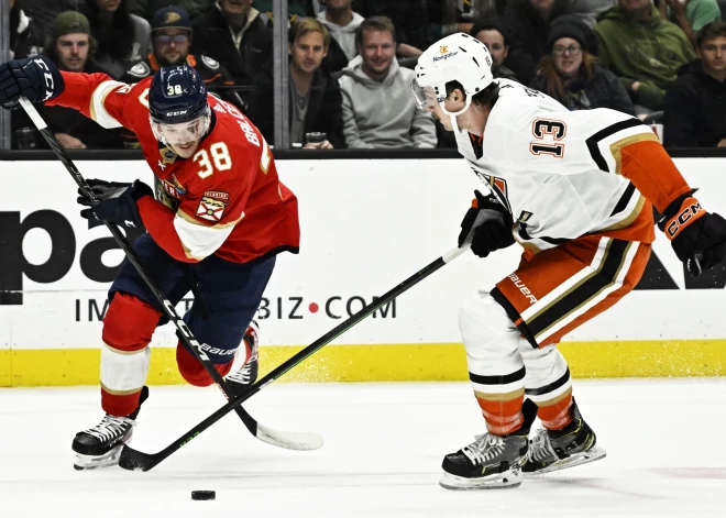 Balcers un "Panthers" izbraukuma sēriju nosledz ar uzvaru pret "Ducks"