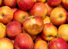Kāpēc nevajag ēst bojātus ābolus?