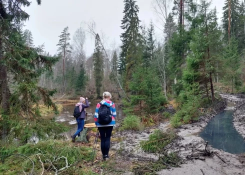 Pašreiz Amatas dabas taku apmeklēt ir ne tikai bīstami, bet arī nepievilcīgi – tur notiek mežizstrāde.