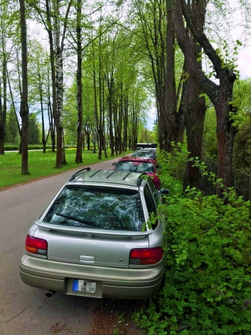 Ceļš gar Aijas Riekstas māju kļuvis par iebraucamo sētu.