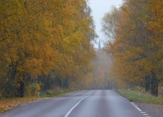 Установлен новый температурный рекорд для 11 ноября (Фото: LETA)